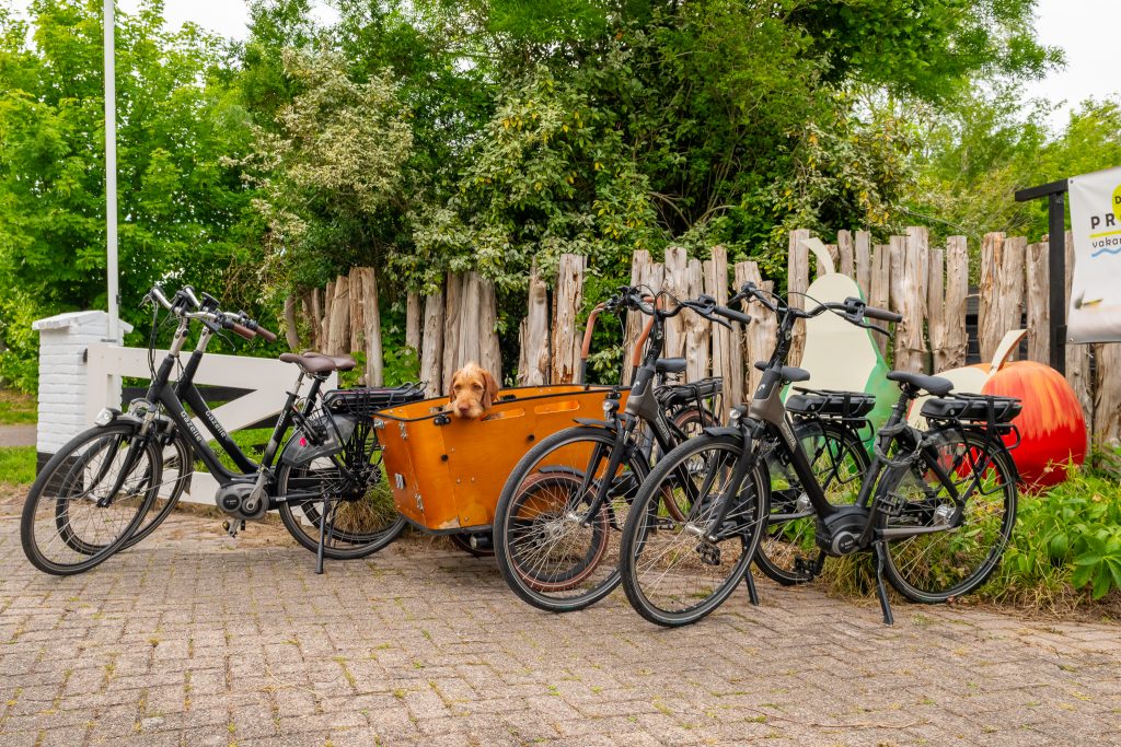 Fietsen verhuur Proetuin Zeeland