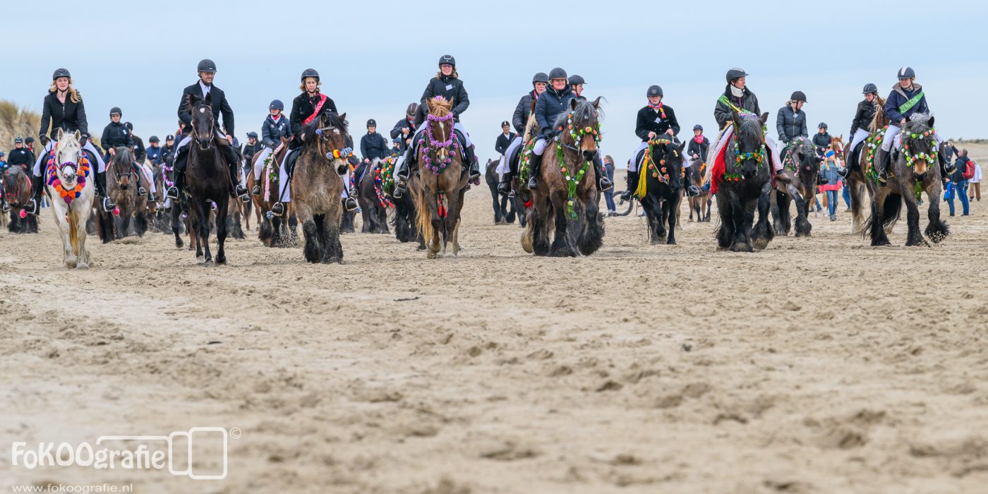 Strao Renesse