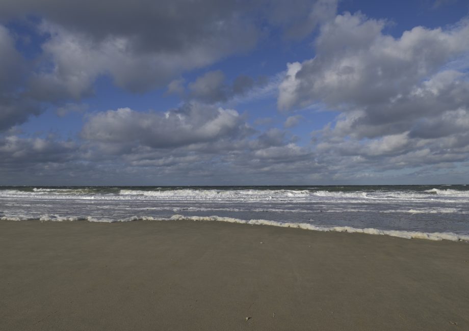 Strand Neeltje Jans