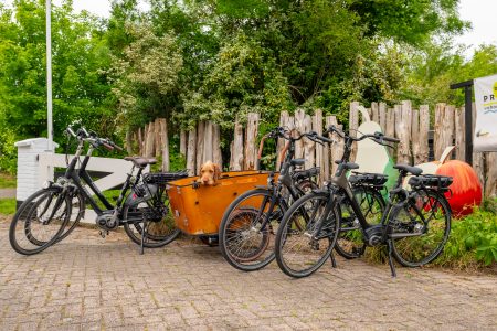 Fietsen verhuur Proetuin Zeeland