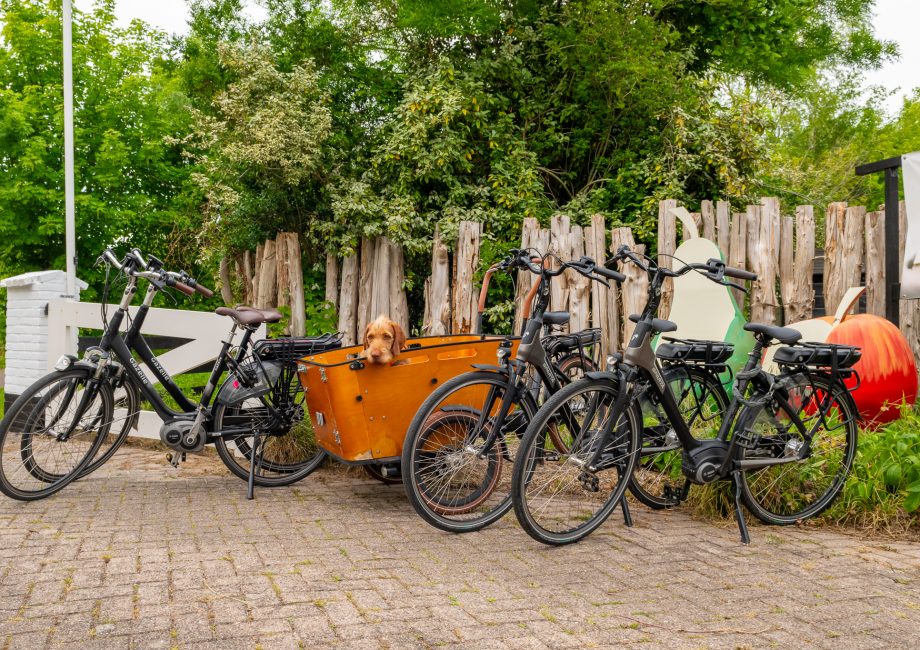 Fietsen verhuur Proetuin Zeeland